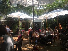 -Fern Forest Cafe