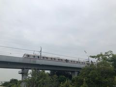 -宝安西湾红树林湿地公园