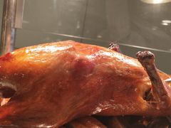 -富力万达嘉华酒店-美食汇西餐厅