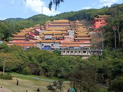 -东莞市大岭山森林公园