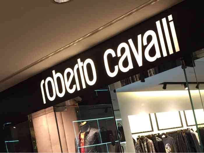 roberto cavalli(王府半岛店)-"意大利的牌子.狂野路线!喜欢死了!