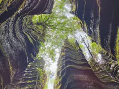 -梭布垭石林景区