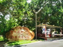 -海南热带雨林国家公园吊罗山景区