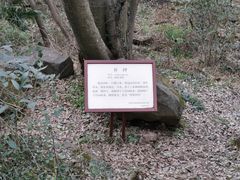 -大蜀山国家森林公园