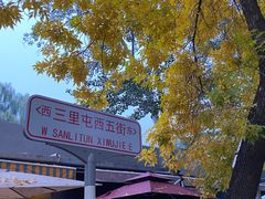 -三里屯东五街银杏大道