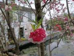 -杭州城北体育公园