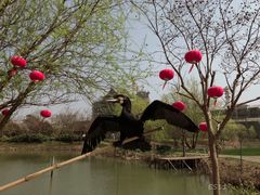 -长兴太湖图影湿地文化园