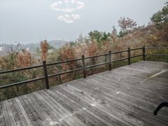 -黄陂区野村谷景区