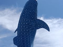 -珠海长隆海洋王国