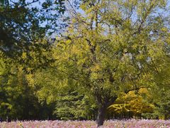 -奥林匹克森林公园北园-停车场