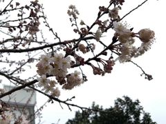 -午潮山国家森林公园