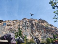 -西霞口神雕山野生动物世界