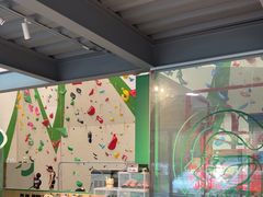 -绿壁虎攀岩基地(Tcar店)