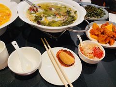 养生酸菜鱼-小资太太餐厅(南岗区店)