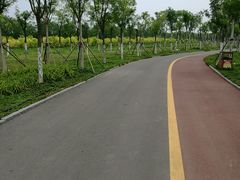 -天津东丽湖风景区