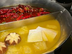 -湊湊火锅·茶憩(南京万象天地店)