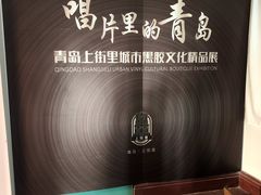 -树懒黑胶唱片店(中山路店)