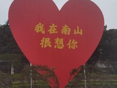 -南山植物园