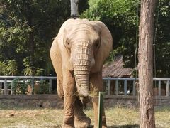 -石家庄市动物园