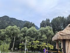 -遇见小院—虹鳟鱼•农家菜(怀柔店)