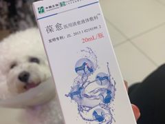 -全心全意连锁动物医院·特色中医诊疗(会城门分院)