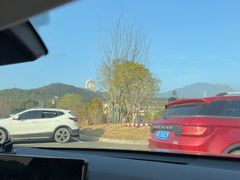 -庐山风景名胜区-东林大佛