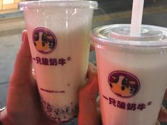 -一只酸奶牛(八一路店)