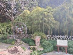 -杭州黄龙洞