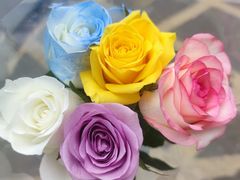 -循礼门鲜花花市(武汉循礼门店)