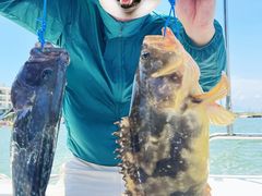 -小猫钓鱼海钓俱乐部(椰梦长廊店)