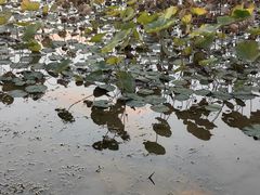 -党河风情线国家水利风景区