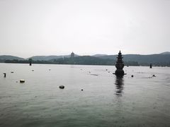 -西湖外事游船(花港观鱼码头)