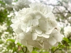 -天津自然博物馆