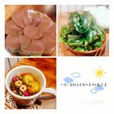中山探店｜人气排队王楠火锅