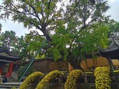 -惠山古镇·寄畅园