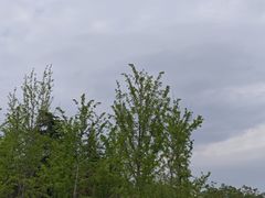 -咸阳湖景区-古渡公园