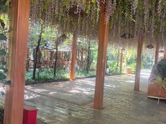 -山大王菌莊
