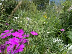 -白草畔自然风景区