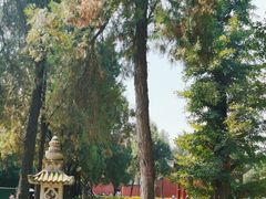 -洛阳白马寺