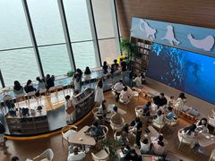 -抱抱地球咖啡馆(国家海洋博物馆店)