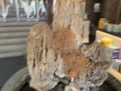 -都江堰石锅鱼