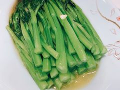 -紫光园·烤鸭·北京菜(劲松店)