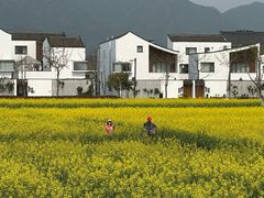 -东梓关景区村庄