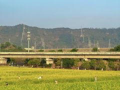 -光明小镇欢乐田园