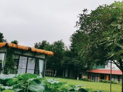 -洪湖家庭农场·团建·露营·会议