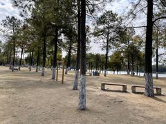 -美兰湖景区