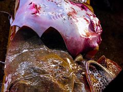 -尼甘布海鲜市场