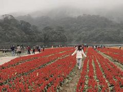 -广州市石门国家森林公园