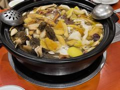 -菌之家·专业纯野生菌火锅·特色炒菌