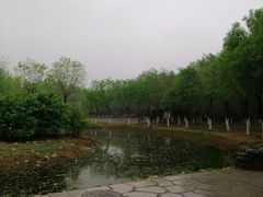 -东郊湿地公园